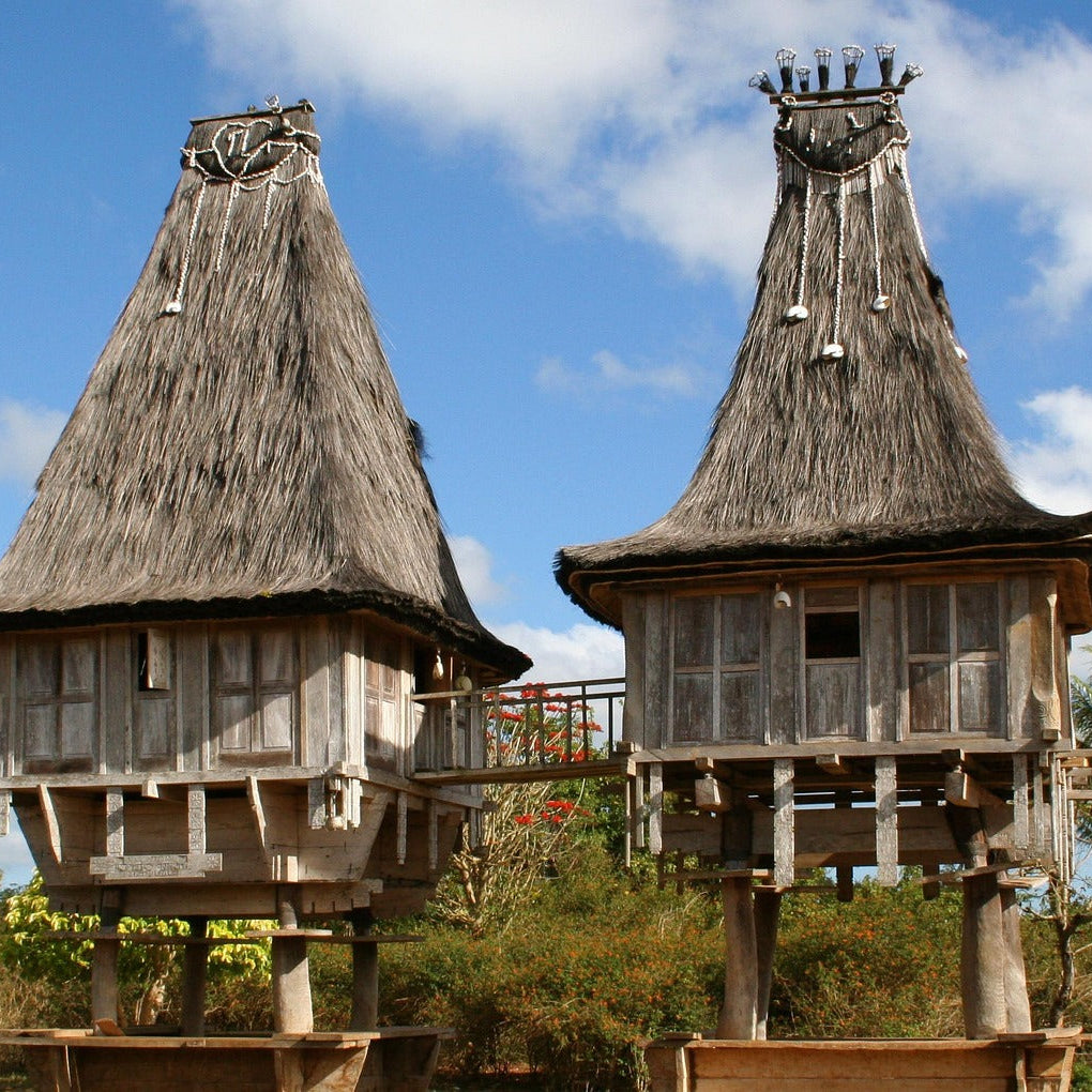 East Timor Package Plan