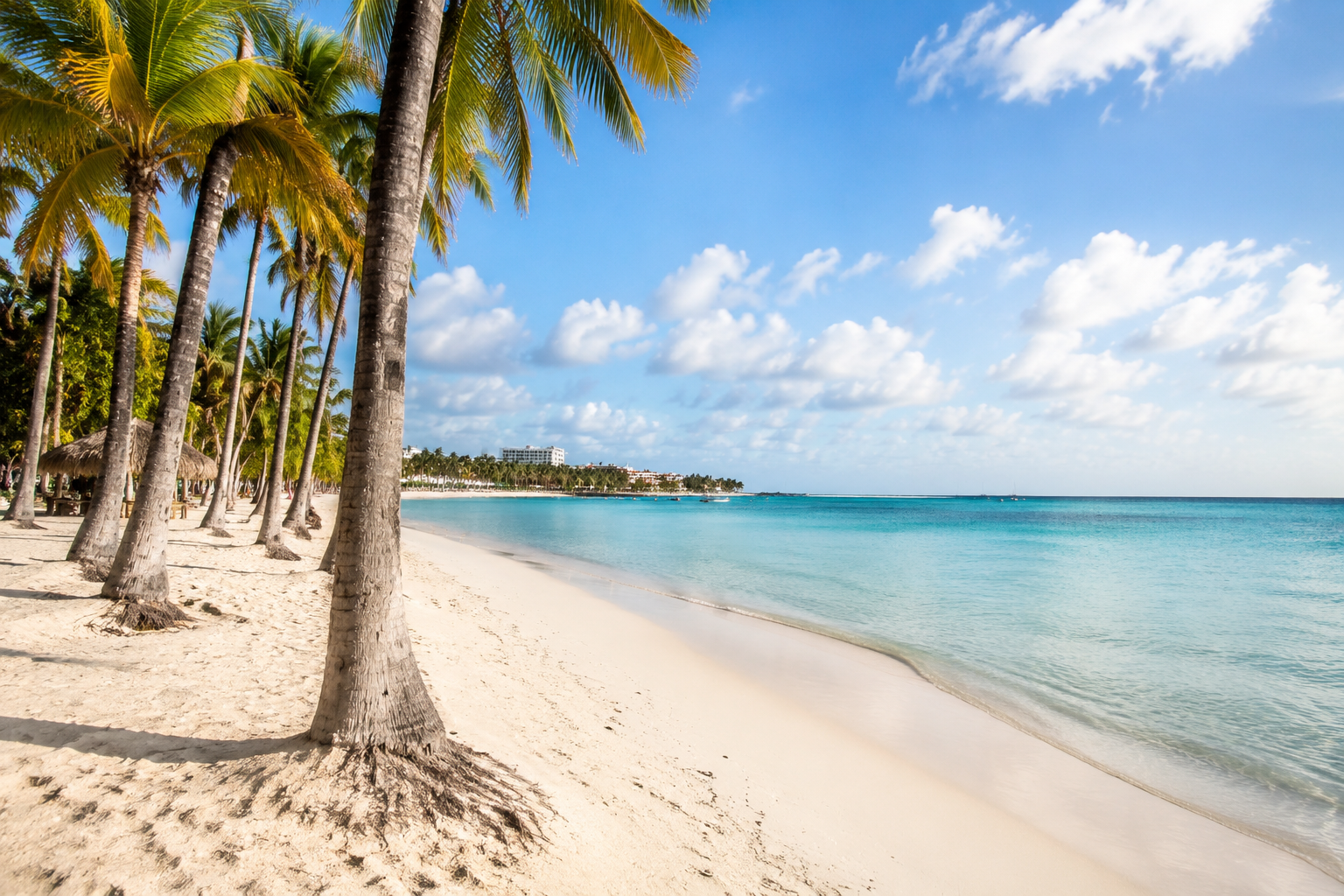 White sand and palm trees beside the turquoise sea in Aruba