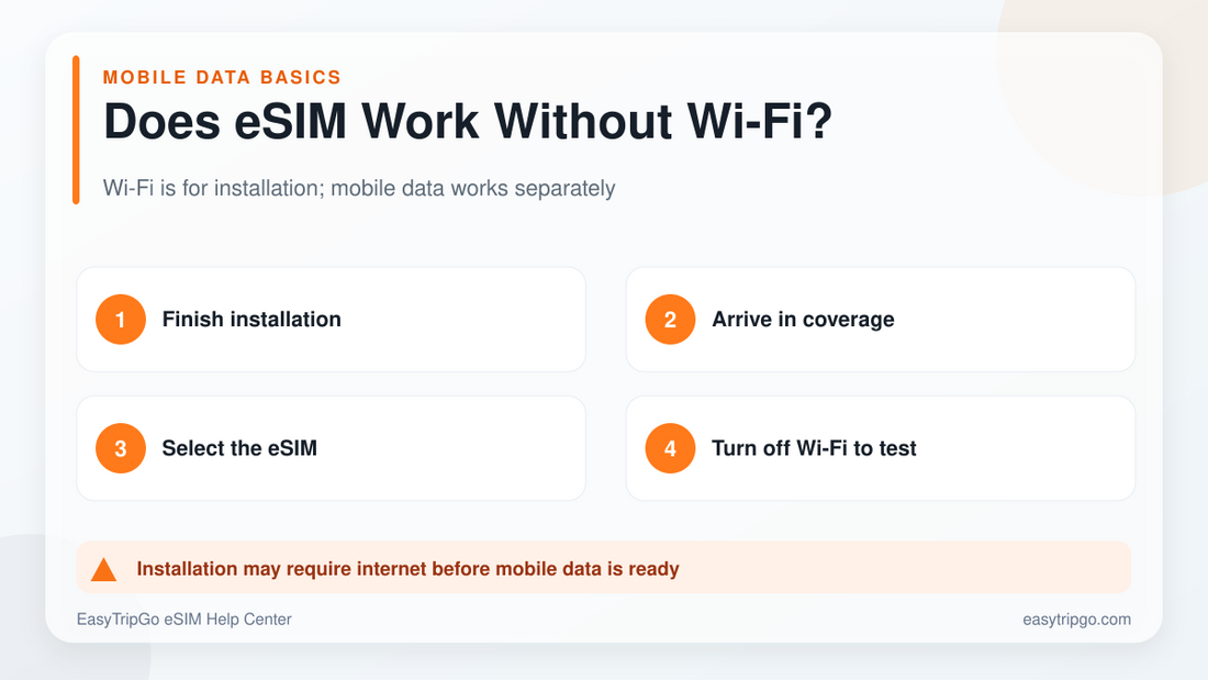 Wi-Fi 없이 설치된 eSIM 작품