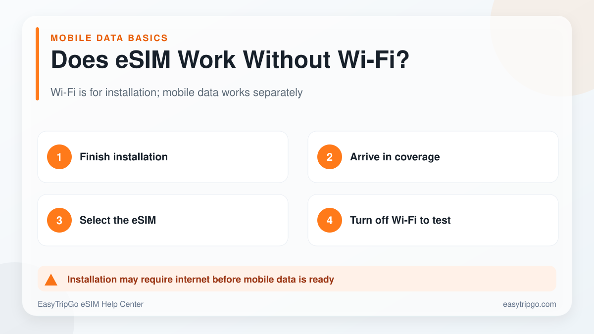 Wi-Fi 없이 설치된 eSIM 작품