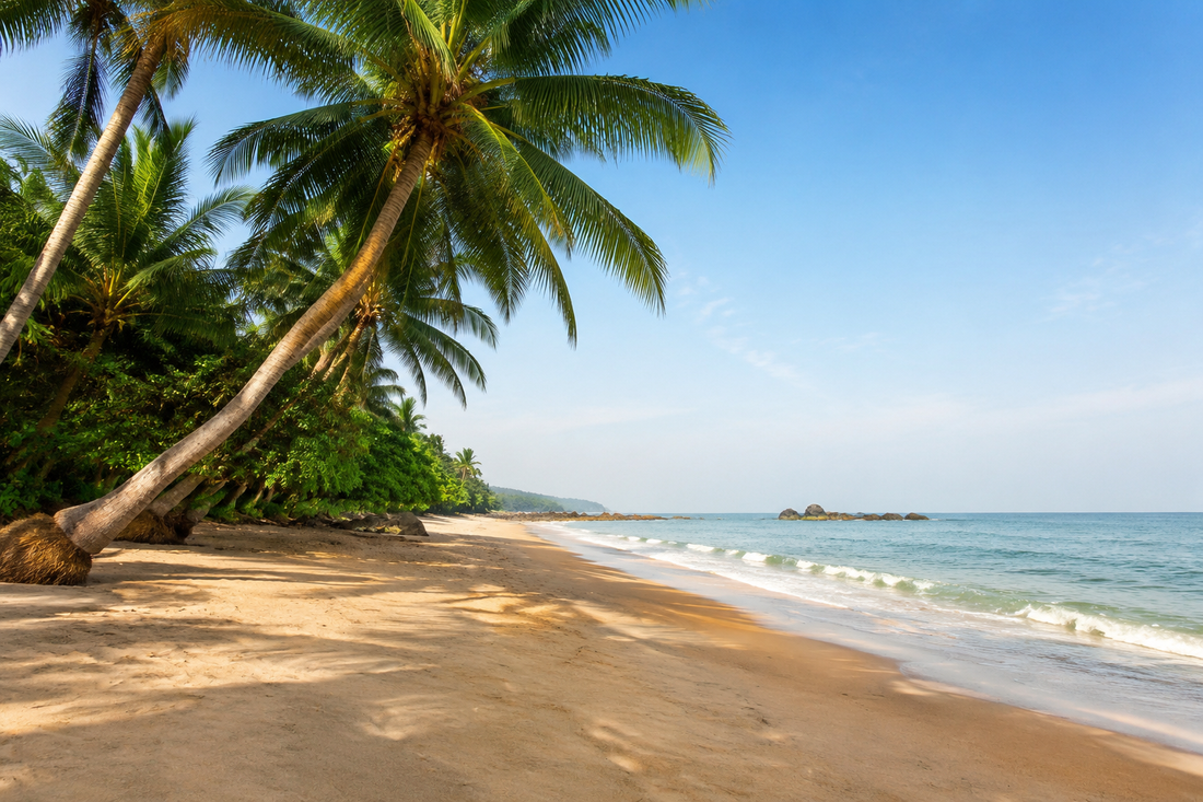 Illustrative palm-lined Goa-inspired beach