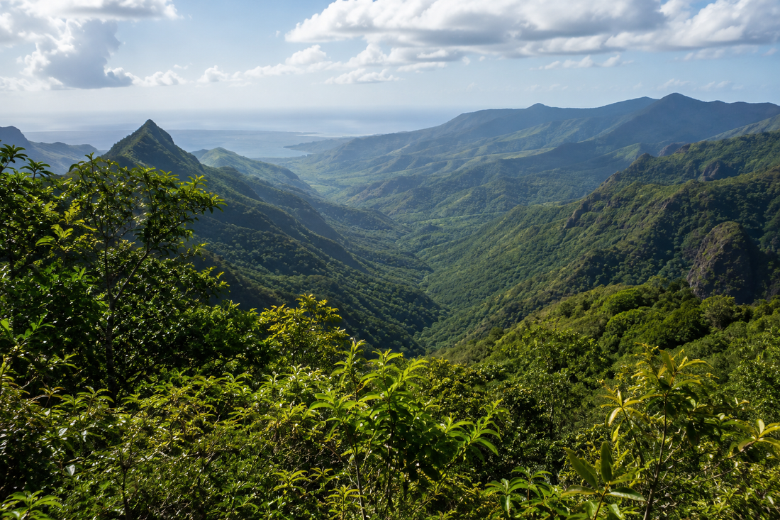 Illustrative forested valley inspired by Black River Gorges in Mauritius