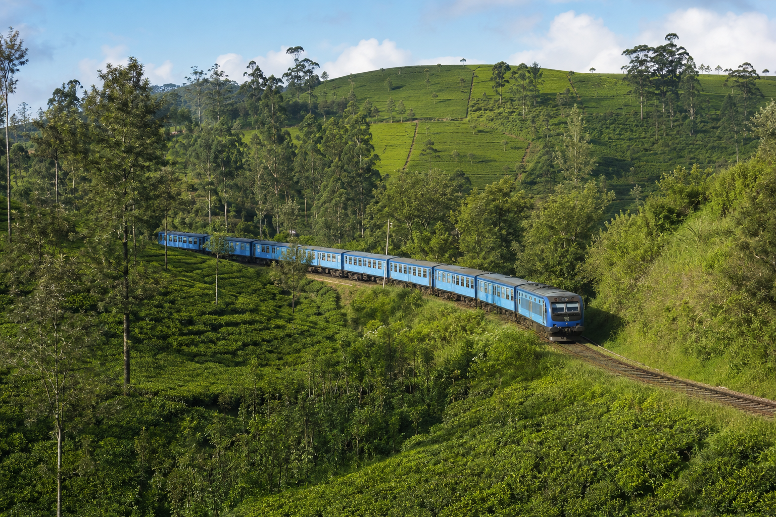 Illustrative Sri Lankan hill-country train among green tea plantations