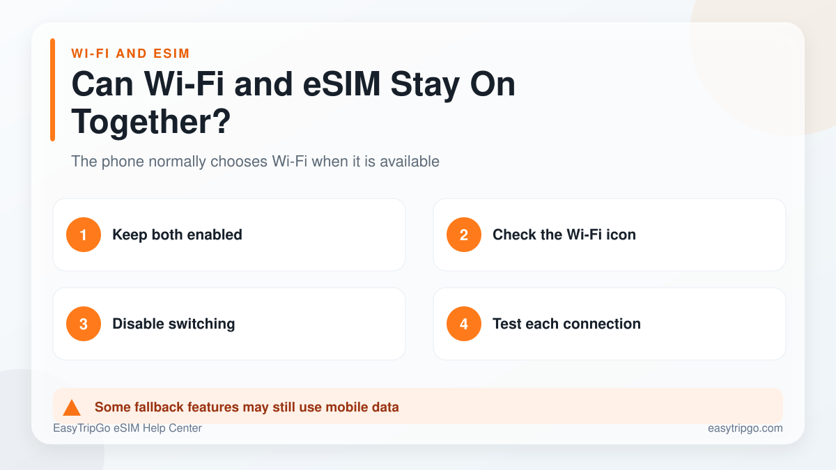 Wi-Fi 및 여행 eSIM을 동시에 사용
