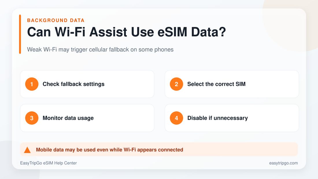 Wi-Fi 지원 및 여행 eSIM 데이터 사용