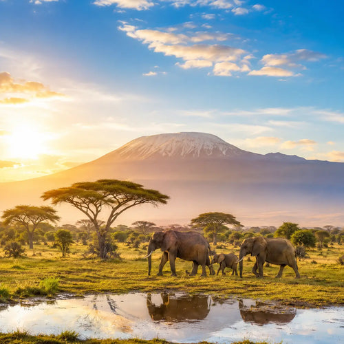 africa-15-countries-esim-travel-data-plan