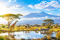 africa-15-countries-esim-travel-data-plan