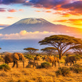 EasyTripGo Africa 21 Countries eSIM - Travel Data Plan with 4G 5G coverage