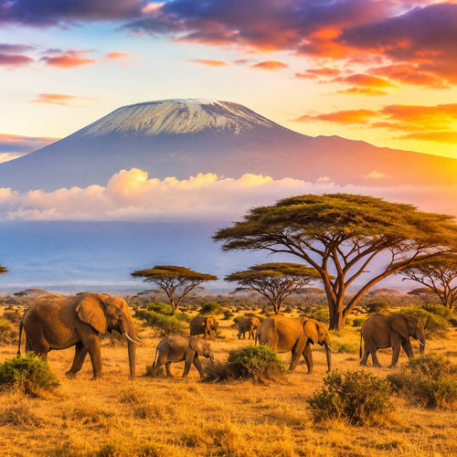 EasyTripGo Africa 21 Countries eSIM - Travel Data Plan with 4G 5G coverage