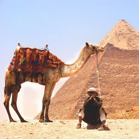 Egypt Package Plan