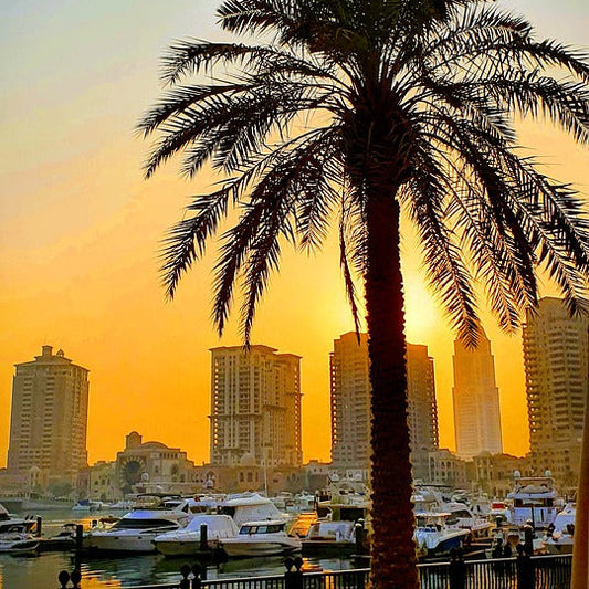 Qatar Package Plan