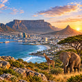 International roaming eSIM for South Africa, compatible with local networks, includes QR code for quick activation.