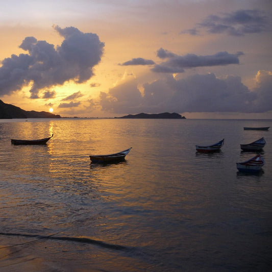 Caribbean and South America 12 Countries | eSIM QR Code
